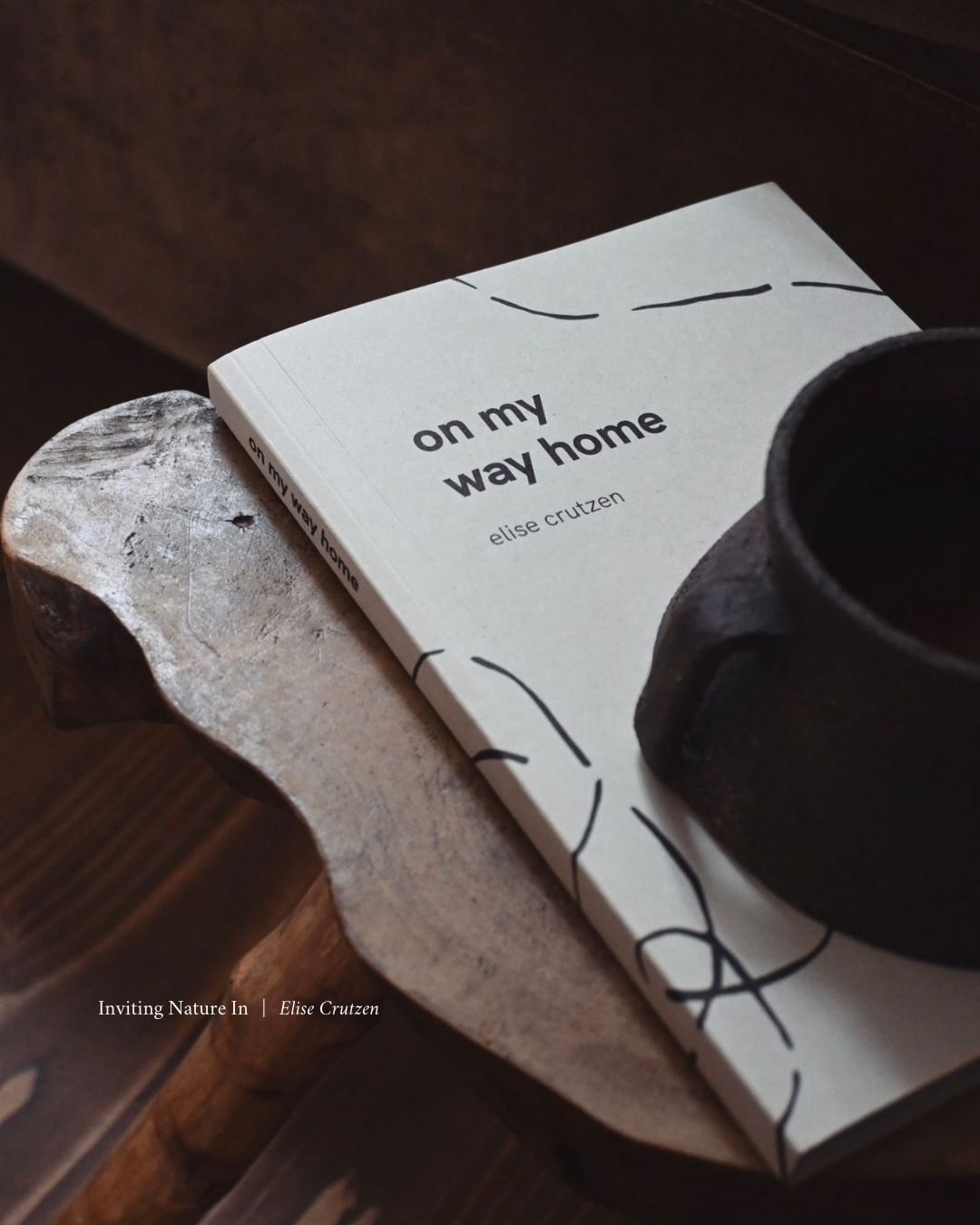 on my way home: limited edition (hardcover)