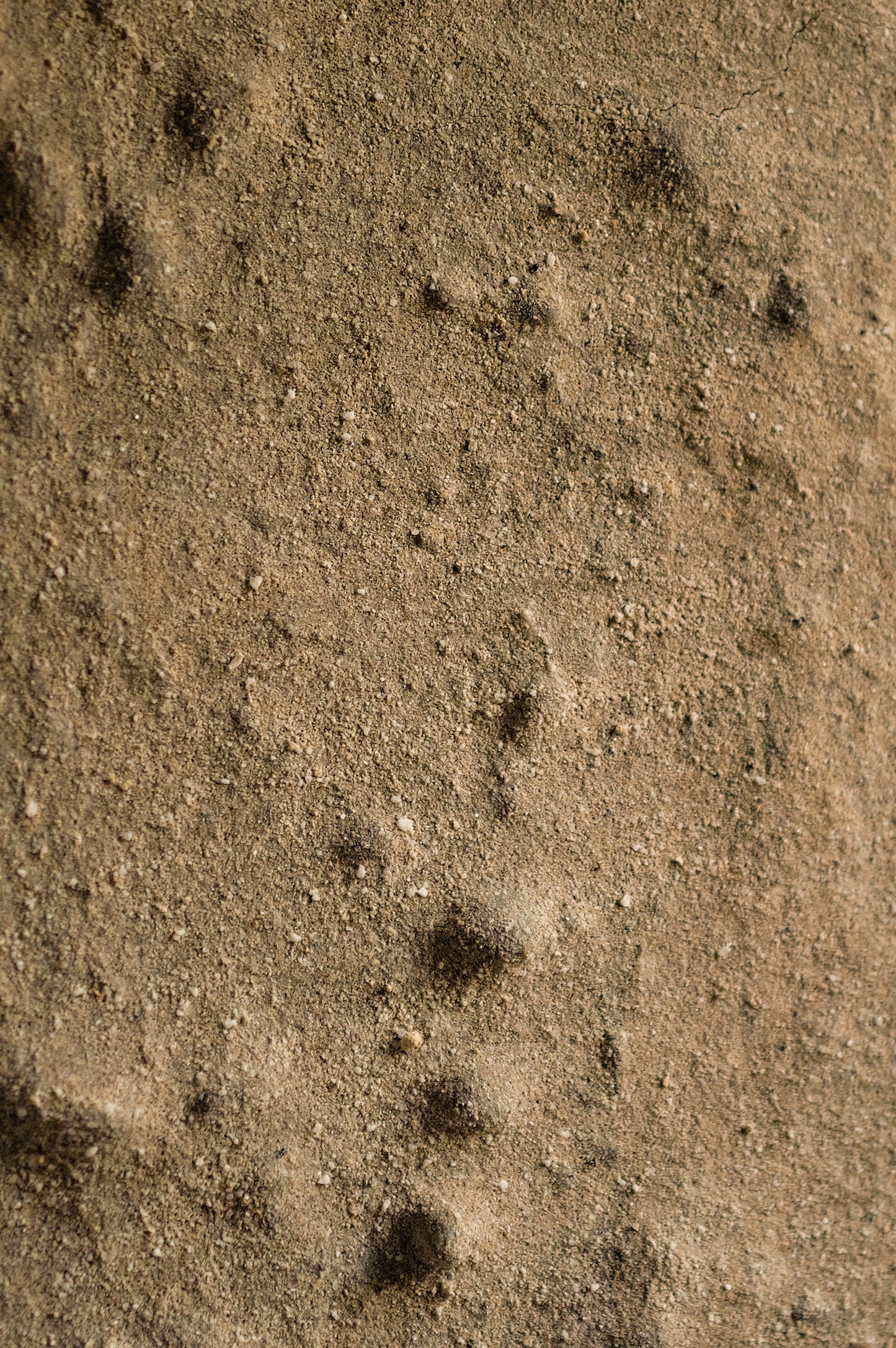 №09