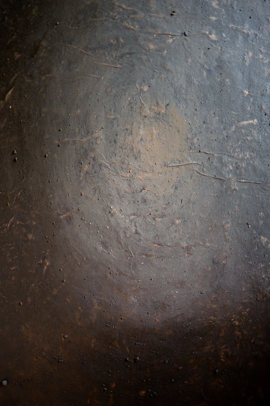 Lift, large (Gangteng Buddhist College)