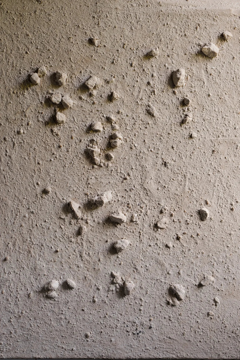 Block, medium (Lungchuzeka Goemba)