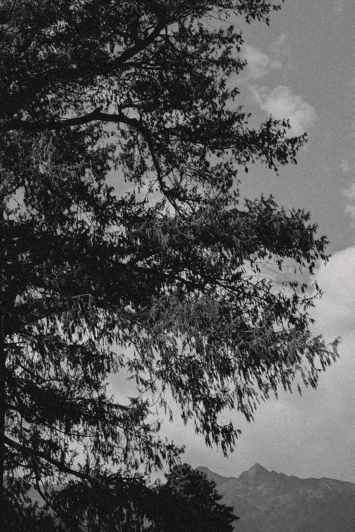 Clear Sky - Pangri Zampa