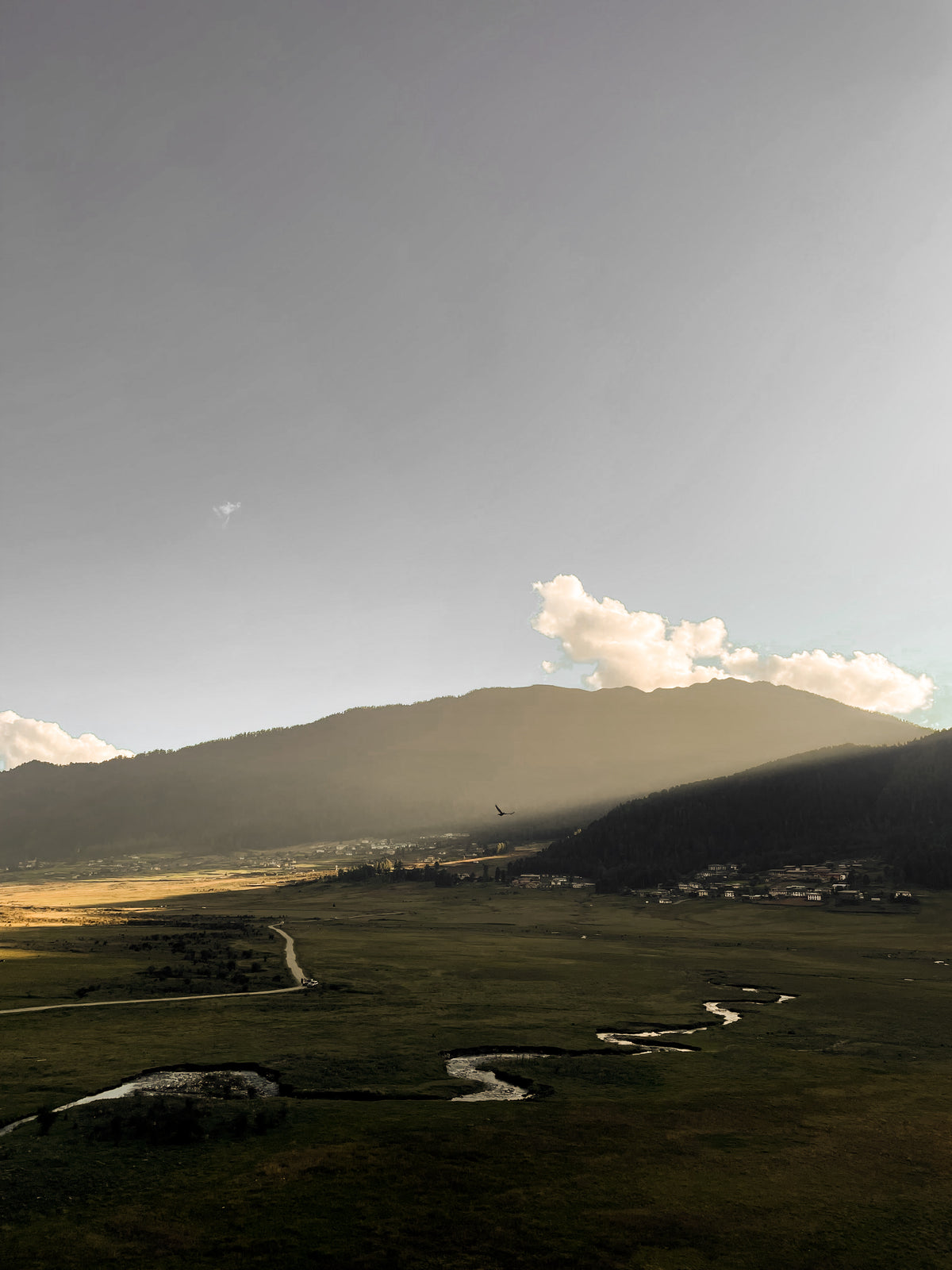 Stillness - Gangteng Buddhist College
